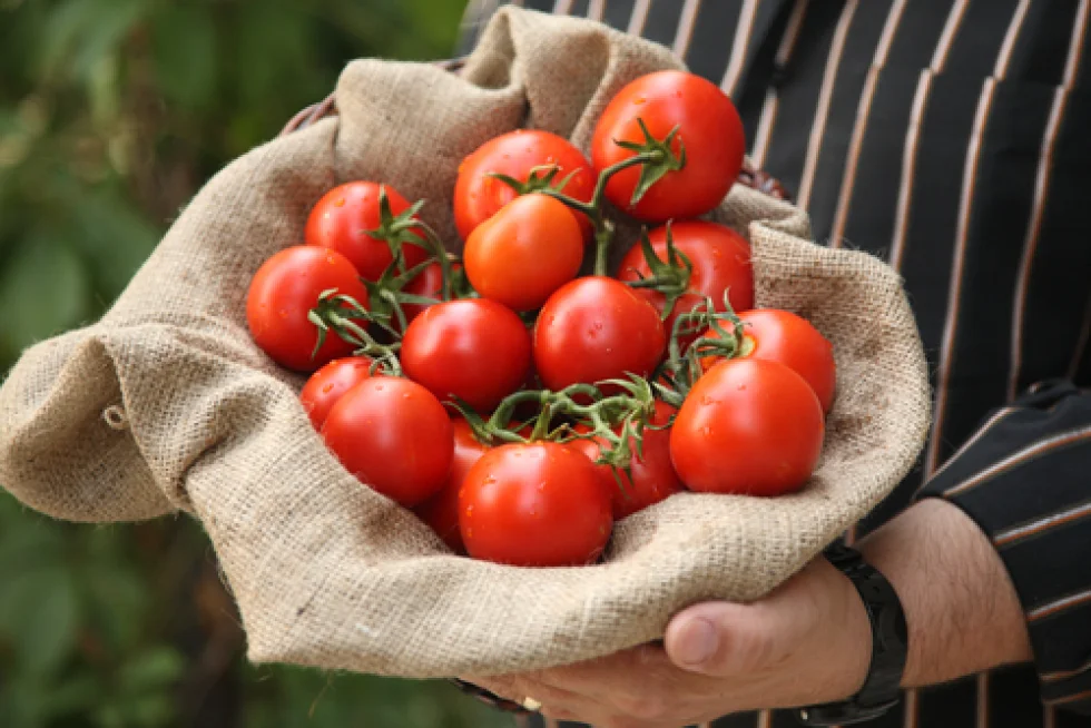 Tomate pode diminuir o risco de AVC em homens